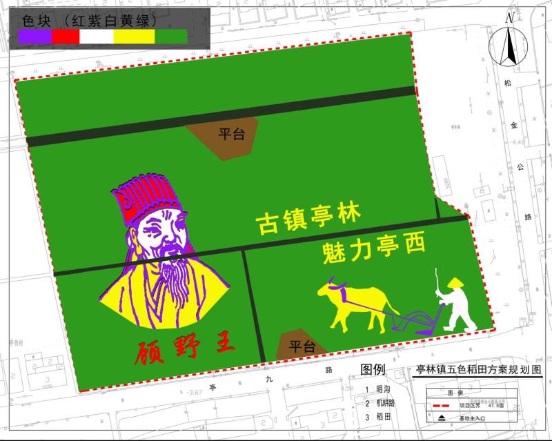 北斗衛(wèi)星神定點，五彩水稻繪傳奇