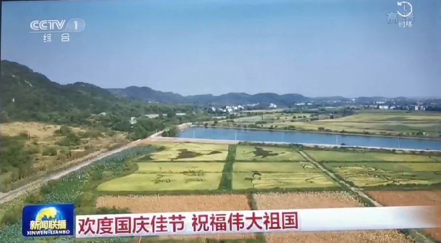 上央視-景遙五彩稻田畫(huà)，助力鄉(xiāng)村振興